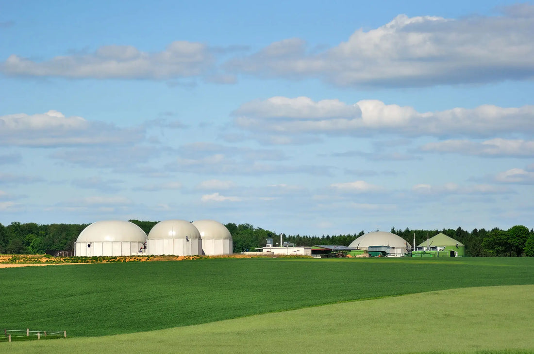 5 Steps to Optimize Anaerobic Digestion with Biological Inoculants