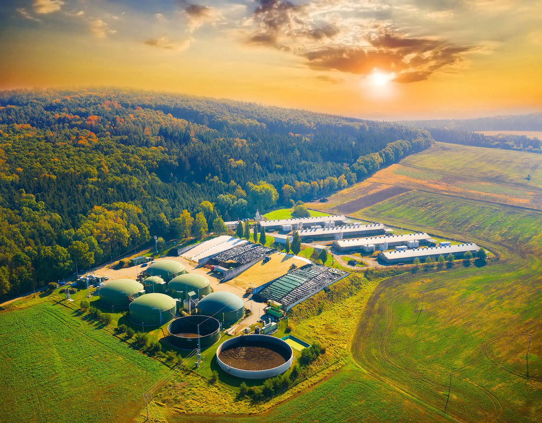 Anaerobic Digestion of Food Waste: Challenges and Opportunities