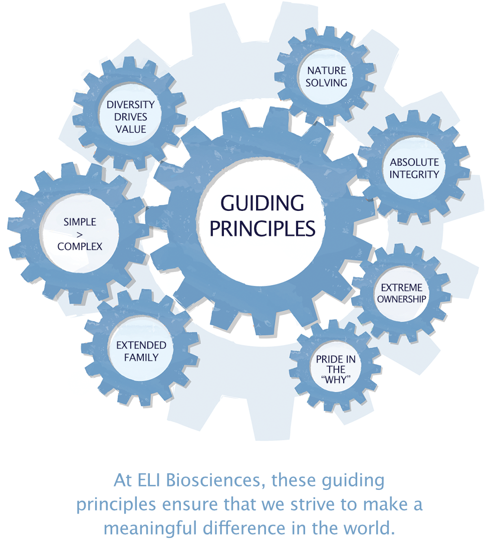 Guiding Principles
