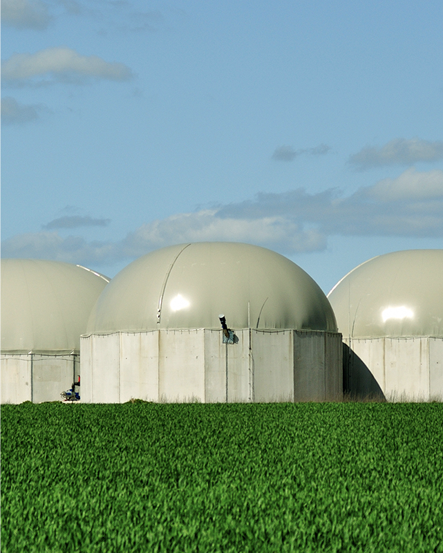 Biogas plant