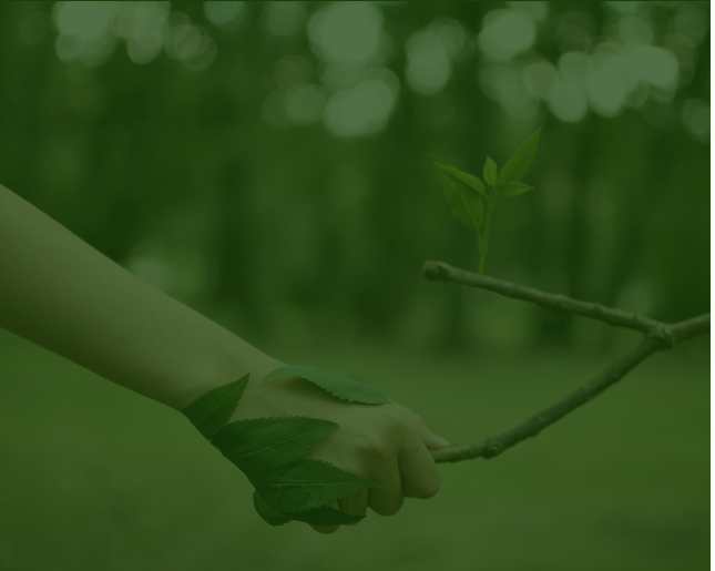 sustainable ecosystem