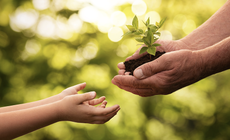 sustainable development