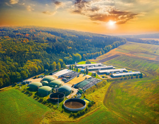 Anaerobic Digestion of Food Waste: Challenges and Opportunities