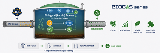 H₂S in Biogas: Why It Forms, Why It Matters, and How to Remove It