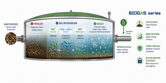 Why Sludge Builds Up in Anaerobic Digesters — And How to Stop It