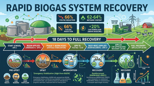 Application of BGE Serial Products Reverses Severe Process Upset in 18 Days