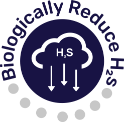 Biologically reduce H2S